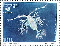 リスボン国際博覧会-切手-9