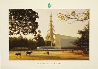 ならシルクロード博-絵葉書-12