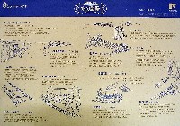 ならシルクロード博-その他-20