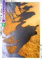 ならシルクロード博-パンフレット-7