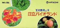 飛騨・高山食と緑の博覧会-パンフレット-6