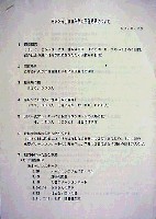 赤レンガ100年祭-その他-2