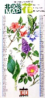 赤レンガ100年祭-その他-4