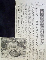 85国際食博覧会・大阪