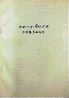 和歌山築城400年記念・躍虎まつり-その他-2