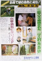 世界のお茶博-パンフレット-2