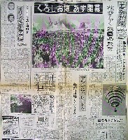 84高知・黒潮博覧会-新聞-1