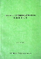 ルイジアナ国際河川博覧会-その他-1