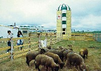 グリンピア82十勝博(北方圏森林博覧会)-絵葉書-8
