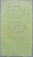神戸ポートアイランド博覧会(ポートピア81)-スタンプ・シール-13