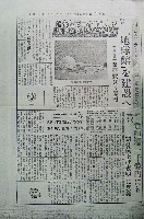神戸ポートアイランド博覧会(ポートピア81)-新聞-12