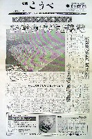 神戸ポートアイランド博覧会(ポートピア81)-新聞-3