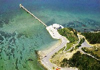 沖縄国際海洋博覧会-絵葉書-42