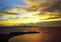 沖縄国際海洋博覧会-絵葉書-8