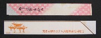 沖縄国際海洋博覧会-パッケージ-13