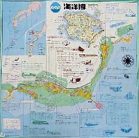 沖縄国際海洋博覧会-記念品・一般-5