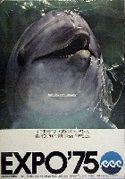 沖縄国際海洋博覧会-ポスター-7