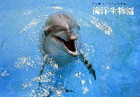 沖縄国際海洋博覧会-パンフレット-24