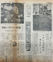 日本万国博覧会-新聞-21