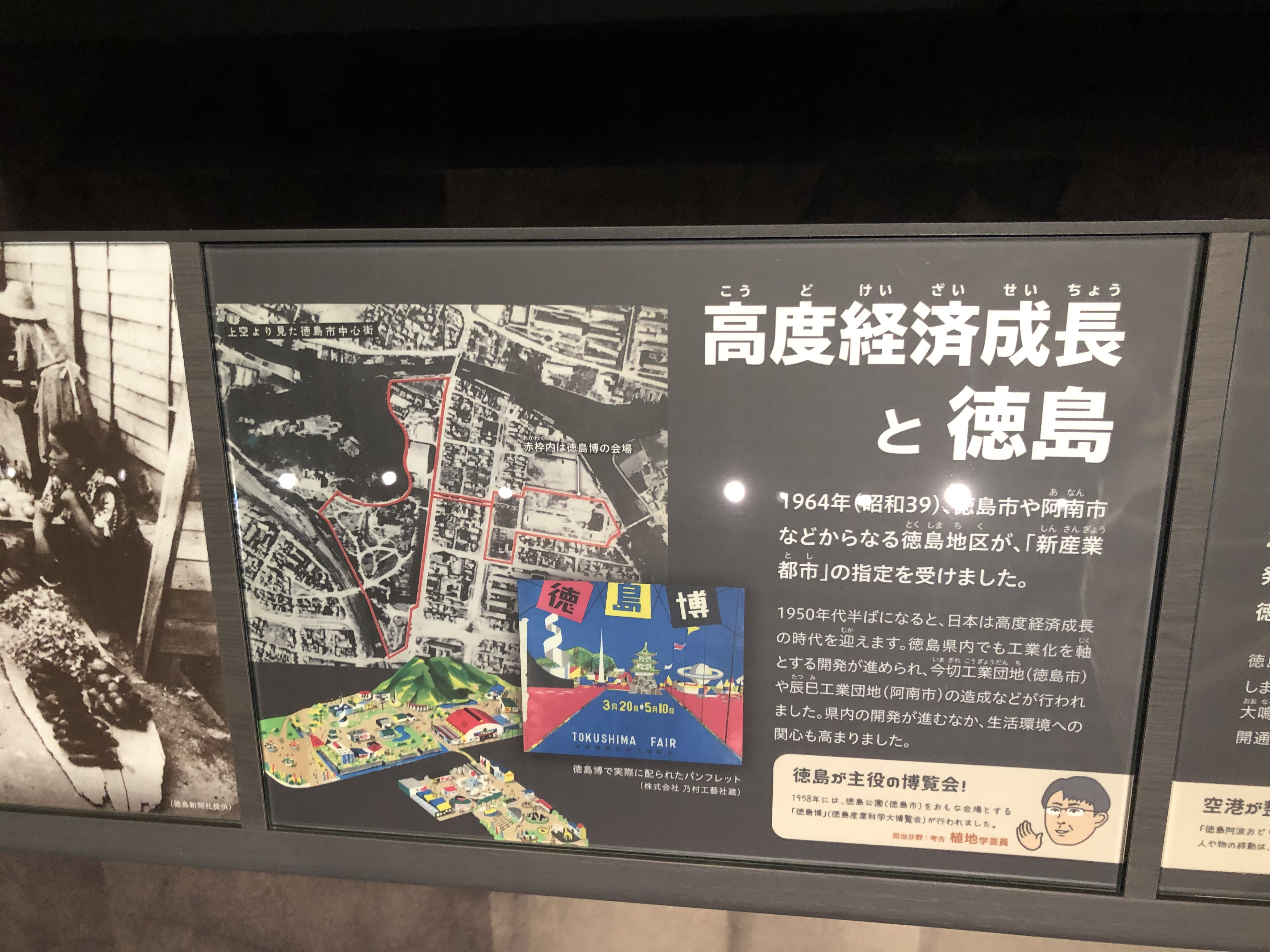 徳島県立博物館の常設展示がリニューアル